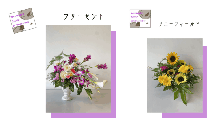 フォトギャラリー：今週のフラワーアレンジメント